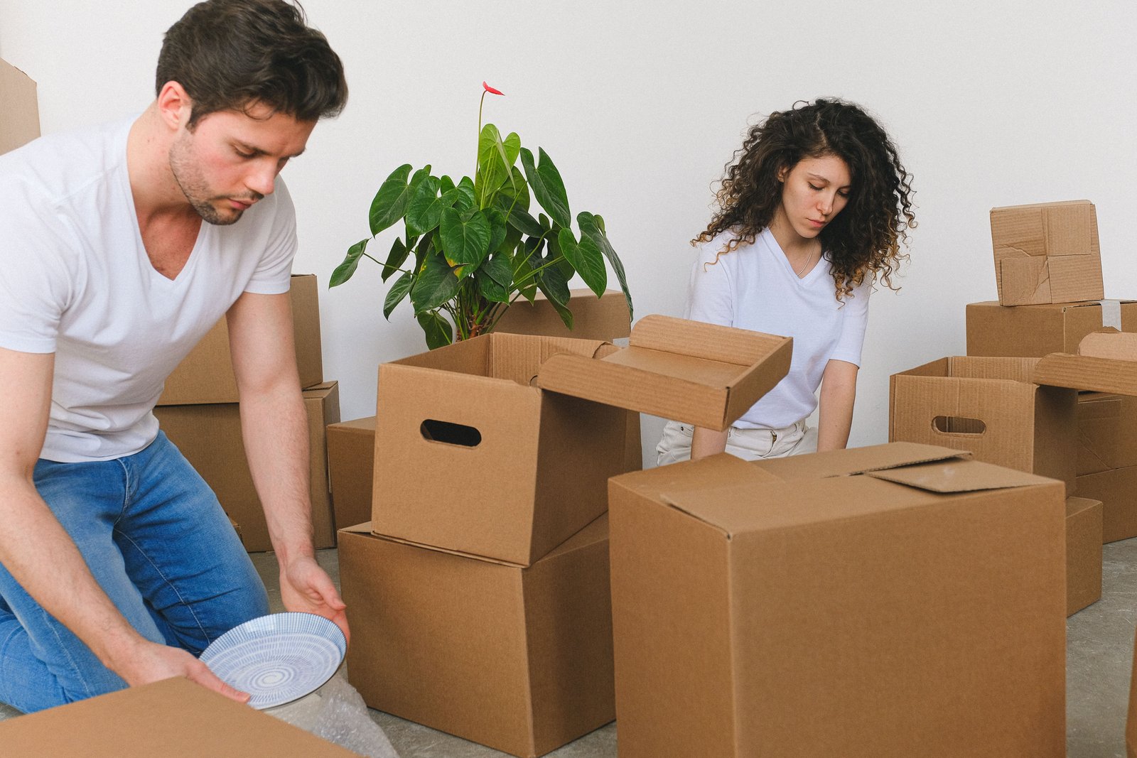 Home Shifting